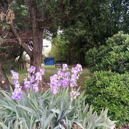 Agriturismo La Fornace Di Rossi Stefano Belvedere  Buitenkant foto