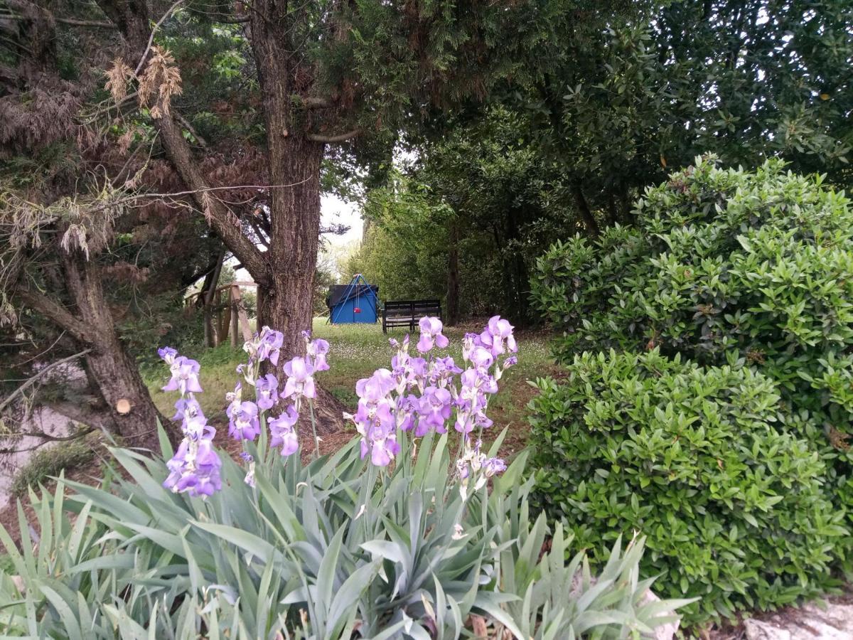 Agriturismo La Fornace Di Rossi Stefano Belvedere  Buitenkant foto